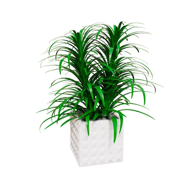 Kamerplanten 3D illustratie