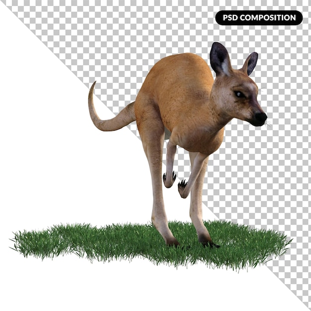 PSD kangaroo animal isolated 3d