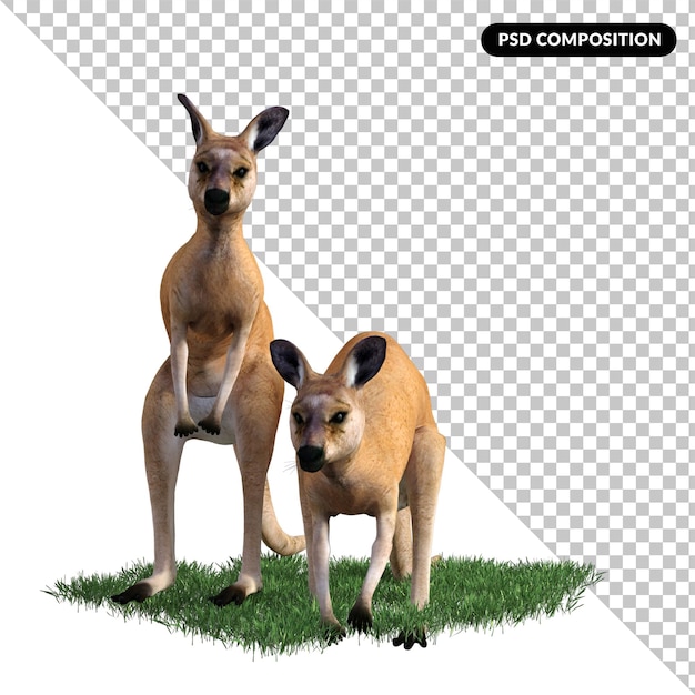 PSD kangaroo animal isolated 3d