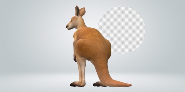 PSD kangaroo isolated on a transparent background