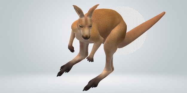 Kangaroo isolated on a transparent background