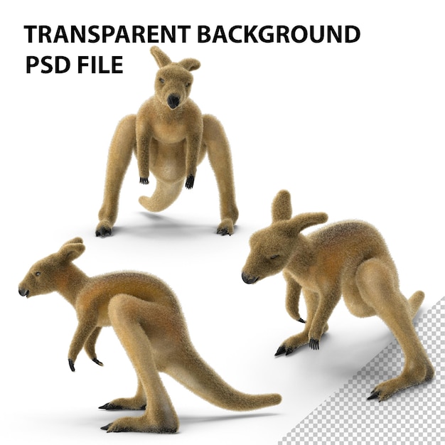 PSD kangaroo png