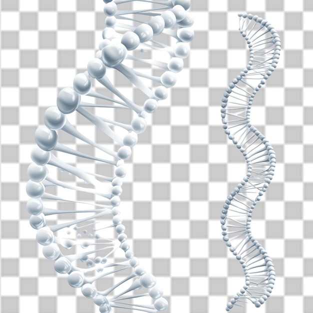 Kansallinen DNA-päivä PSD PNG