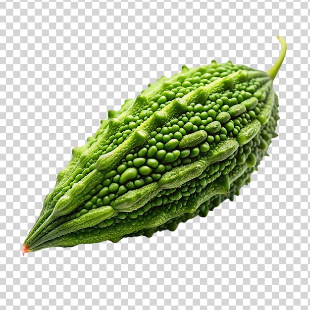 PSD karela isolated on transparent background