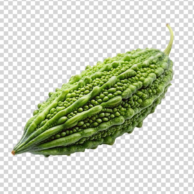 PSD karela isolated on transparent background