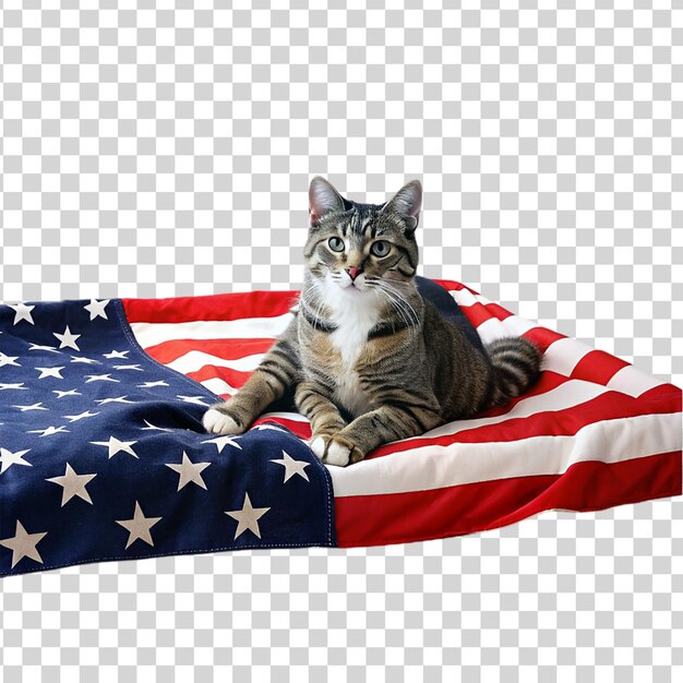 PSD kat die trots op de amerikaanse vlag zit, geïsoleerd op een doorzichtige achtergrond