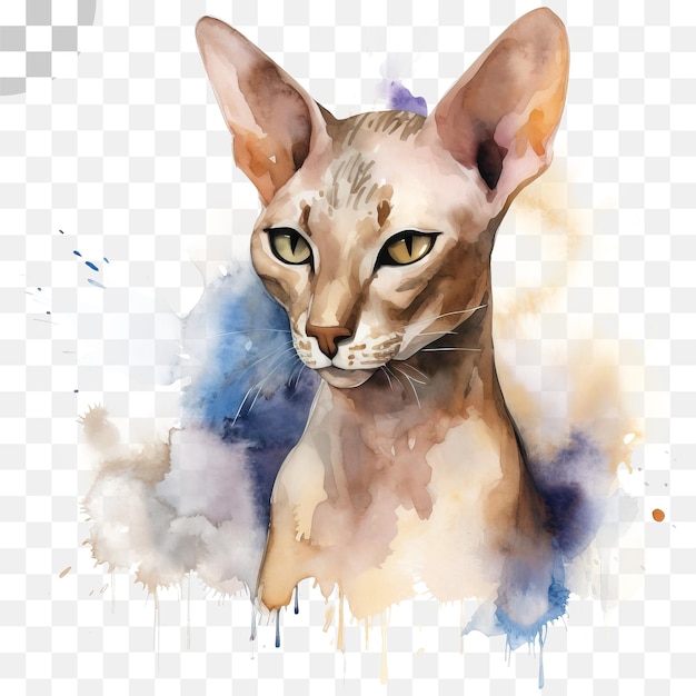 PSD kattenillustratie met een blauwe achtergrond en een blauwe achtergrond