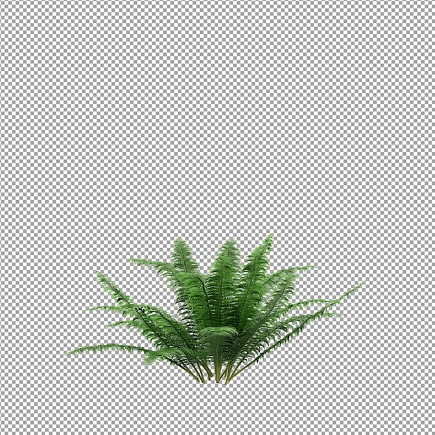 Kaunis kasvi 3d-renderöitynä, eristettynä