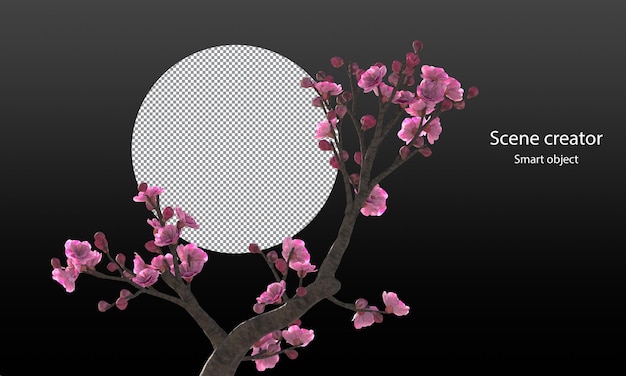 PSD kersenbloesem bomen geïsoleerd sakura bomen en takken uitknippad