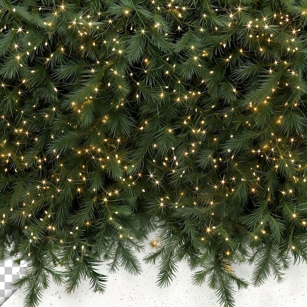 Kerstboom tak gordijn geïsoleerd op doorzichtige achtergrond