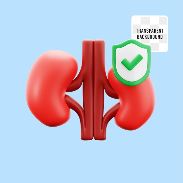 PSD kidney body organ treatment care and health insurance medical hospital 3d icon illustration render design