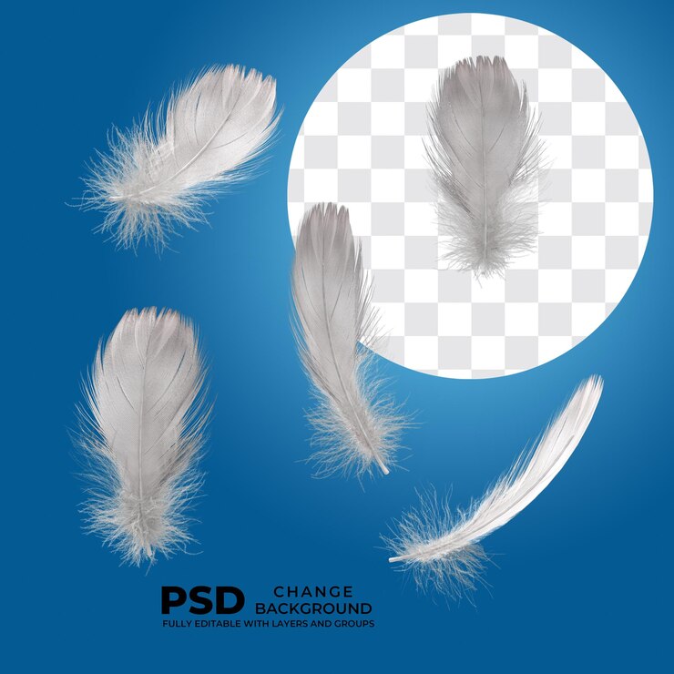 kilka spadających piór psd