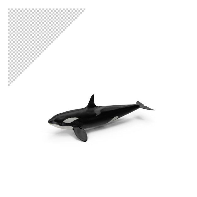 PSD killer whale png