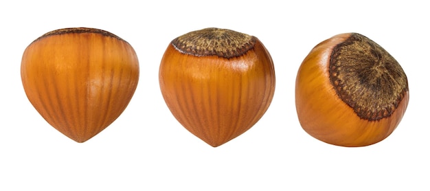 PSD kit hazelnuts diepte van het veld geïsoleerd op een lege achtergrond