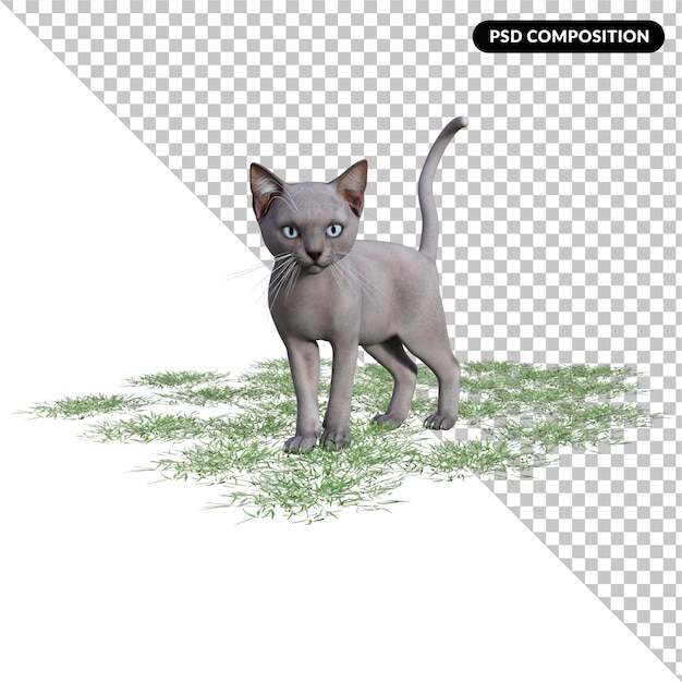 PSD gattino carino rendering 3d isolato.