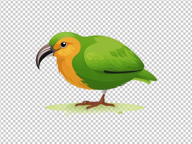 PSD kiwi vogel