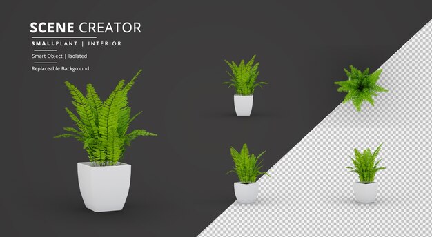 Kleine interieur plant in pot scene creator