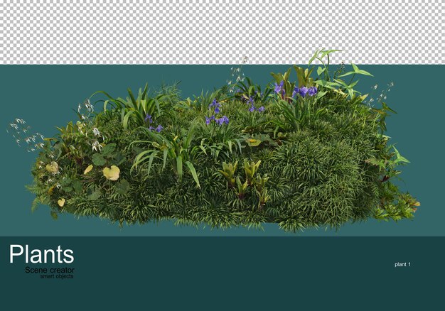 Kleine tuin met veel planten