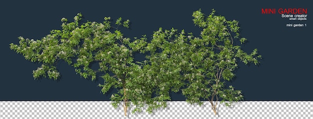 Kleine tuin met veel planten