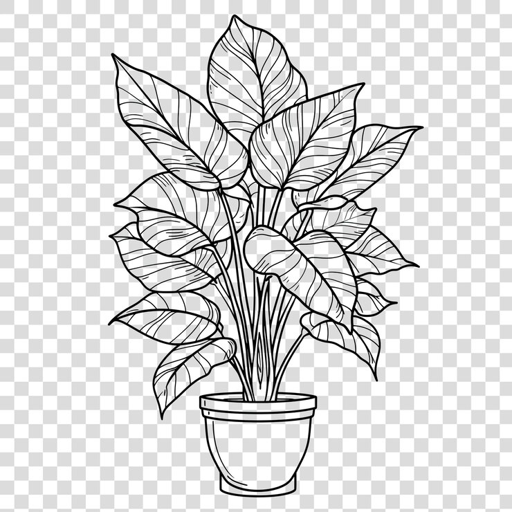 PSD kleurblad voor potplanten geïsoleerd op doorzichtige achtergrond png