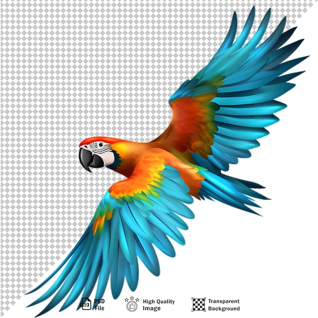 PSD kleurrijke ara papegaai geïsoleerd op transparante achtergrond