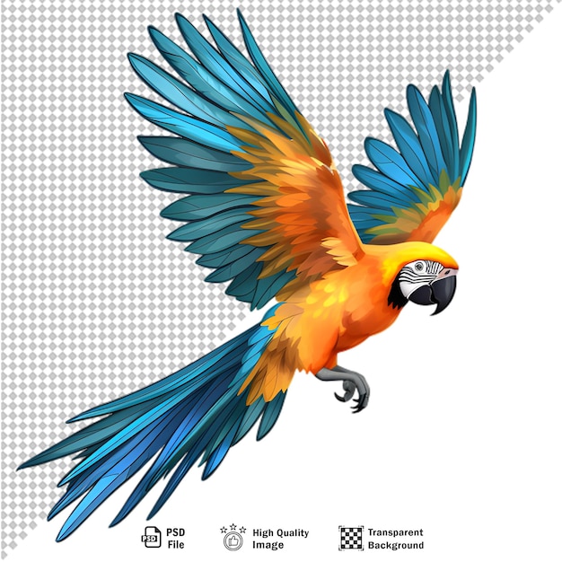 PSD kleurrijke ara papegaai geïsoleerd op transparante achtergrond