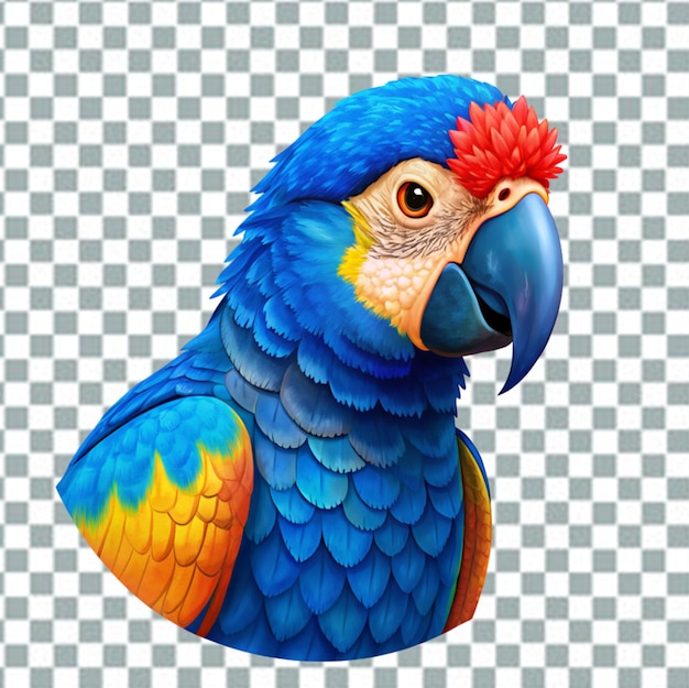 PSD kleurrijke papegaai op doorzichtig