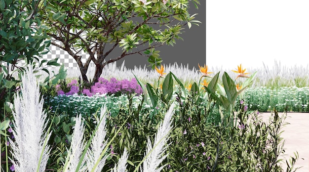 Klynge av hageplanter på transparent bakgrunn PNG 3D-rendering