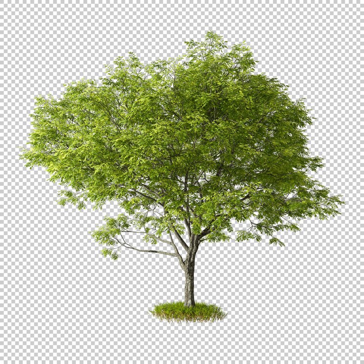 Knip boomvorm uit op gras geïsoleerde achtergrond 3d render