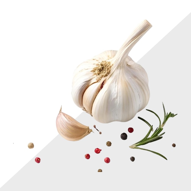 Knoflook met doorzichtige Knoflook waterverf geïsoleerd grafisch doorzichtige knoflook geïsoleerde op wit