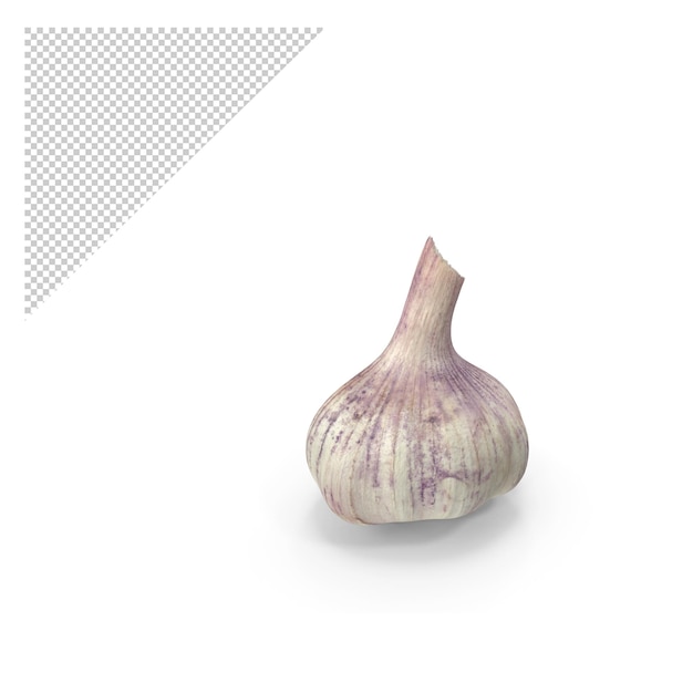 Knoflook png