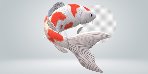 Koi carp fish isolated on a transparent background