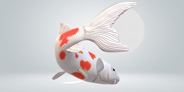 PSD koi carp fish isolated on a transparent background