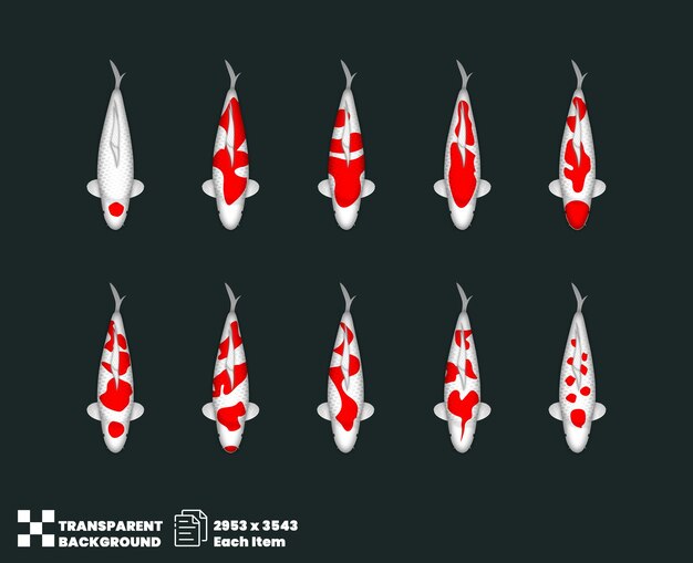 PSD collezione koi fish kohaku