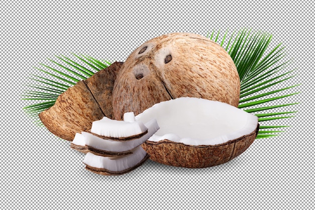 Kokosnoten geïsoleerd