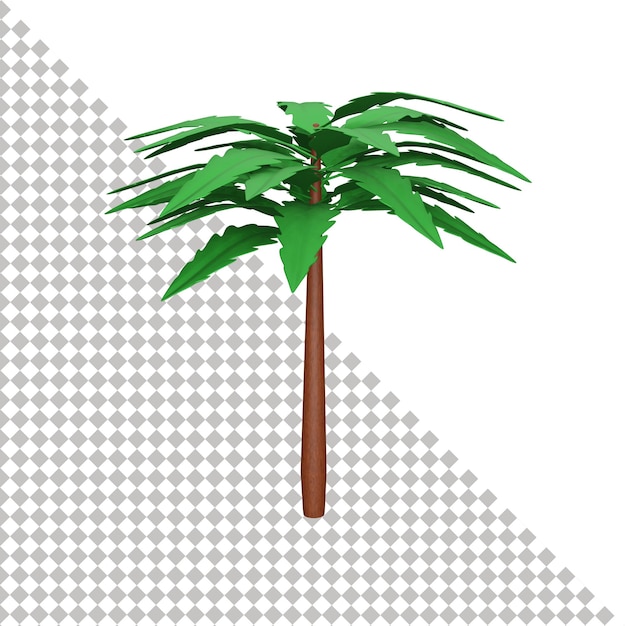 Kokospalm 3d-pictogram