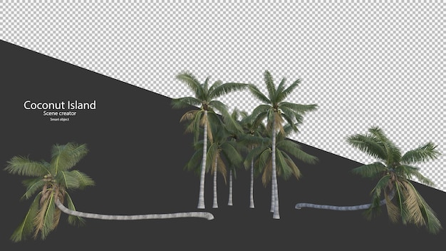 Kokospalm in 3D-rendering geïsoleerd
