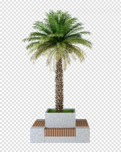 Kokospalmen in 3D-rendering