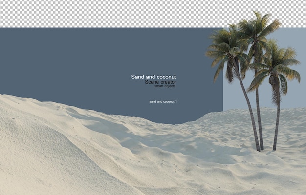 PSD kokospalmen op zand vanuit vele perspectieven.