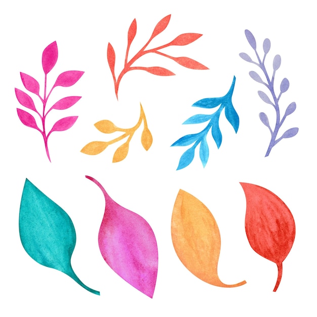 PSD kolorowa dekoracja liści i gałęzi roślin w stylu wiejskim