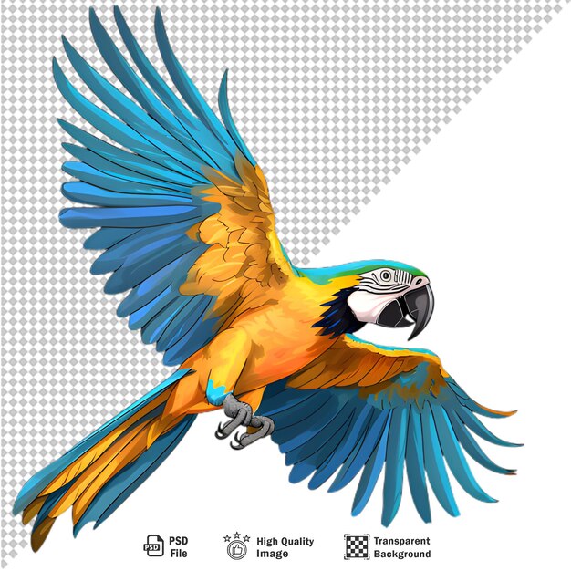 PSD kolorowa papuga ara odizolowana na przezroczystej tle