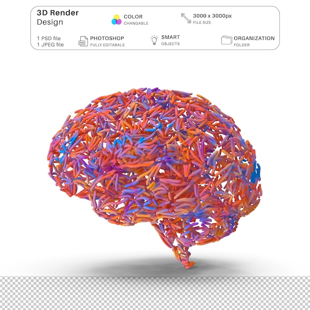 PSD kolorowy mózg 3d modelowanie plik psd realistyczna ludzka anatomia