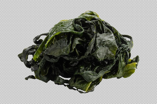 PSD kombu kelp is a large brown algae seaweed isolated on a transparent background