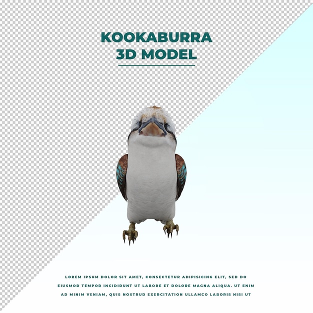 PSD kookaburra