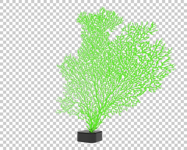 PSD koraalboom geïsoleerd op doorzichtige achtergrond 3d-rendering illustratie