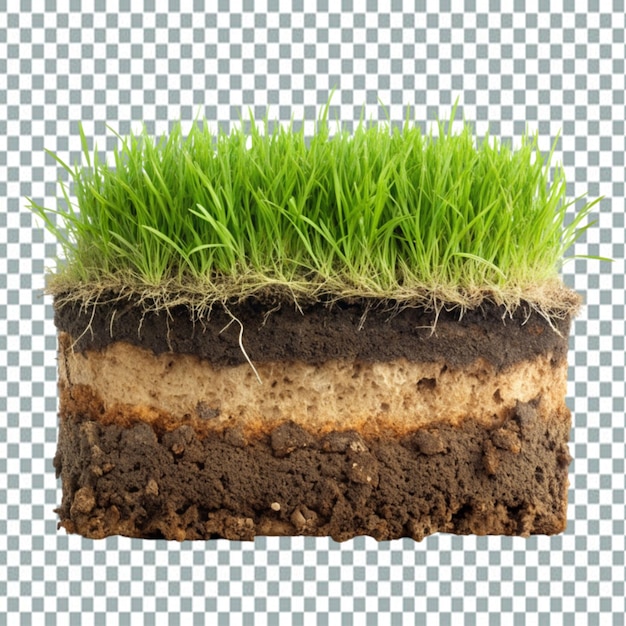 PSD koszenie trawnika glebą