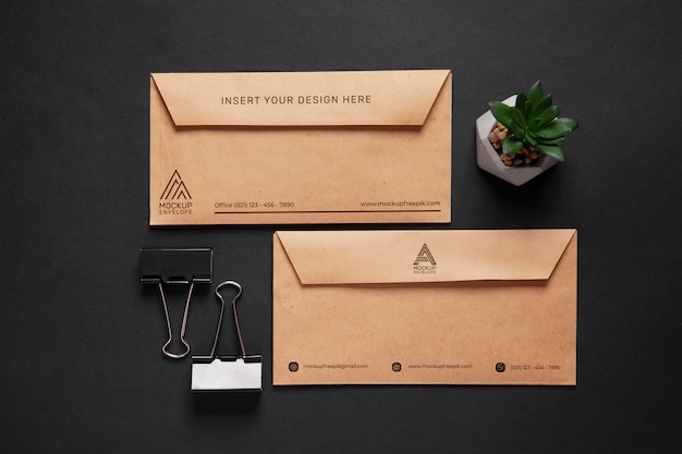 Kraft paper envelope and plant