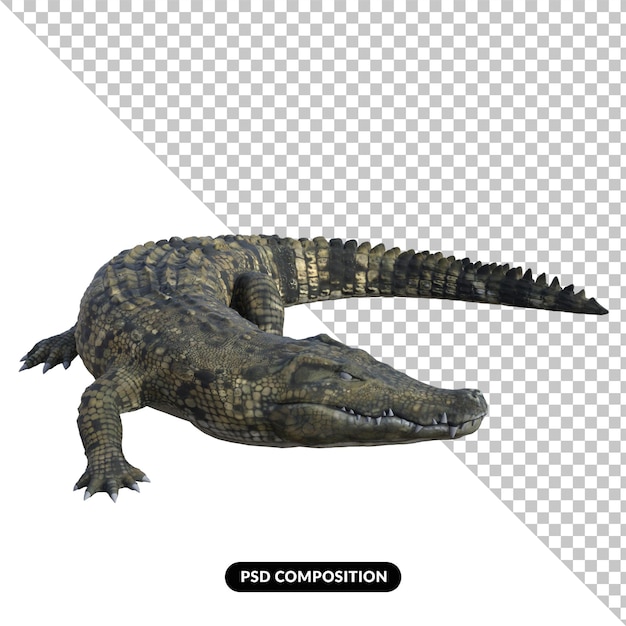 PSD krokodil geïsoleerde 3d render