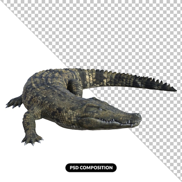 Krokodyl na białym tle renderowania 3d