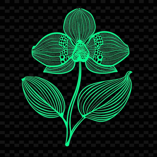 PSD kwiat, który ma zielony zarys kwiatu